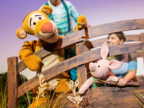 Winnie The Pooh - The Musical: What to expect - 3