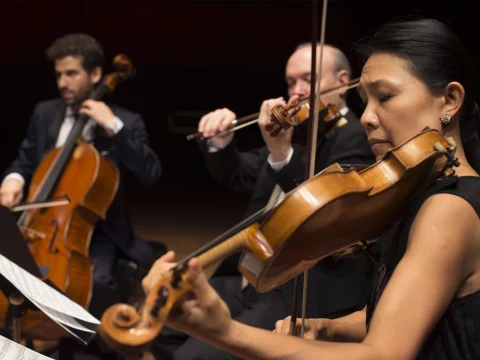 The Chamber Music Society of Lincoln Center: Brahms and Dohnányi: What to expect - 3