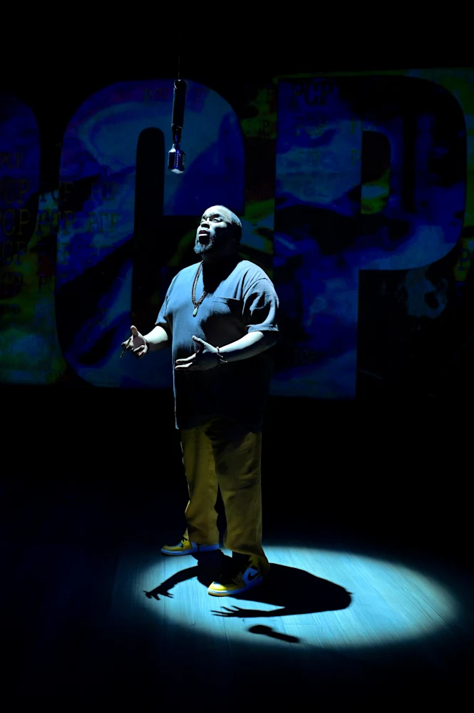 How Shakespeare Saved My Life: What to expect - 6