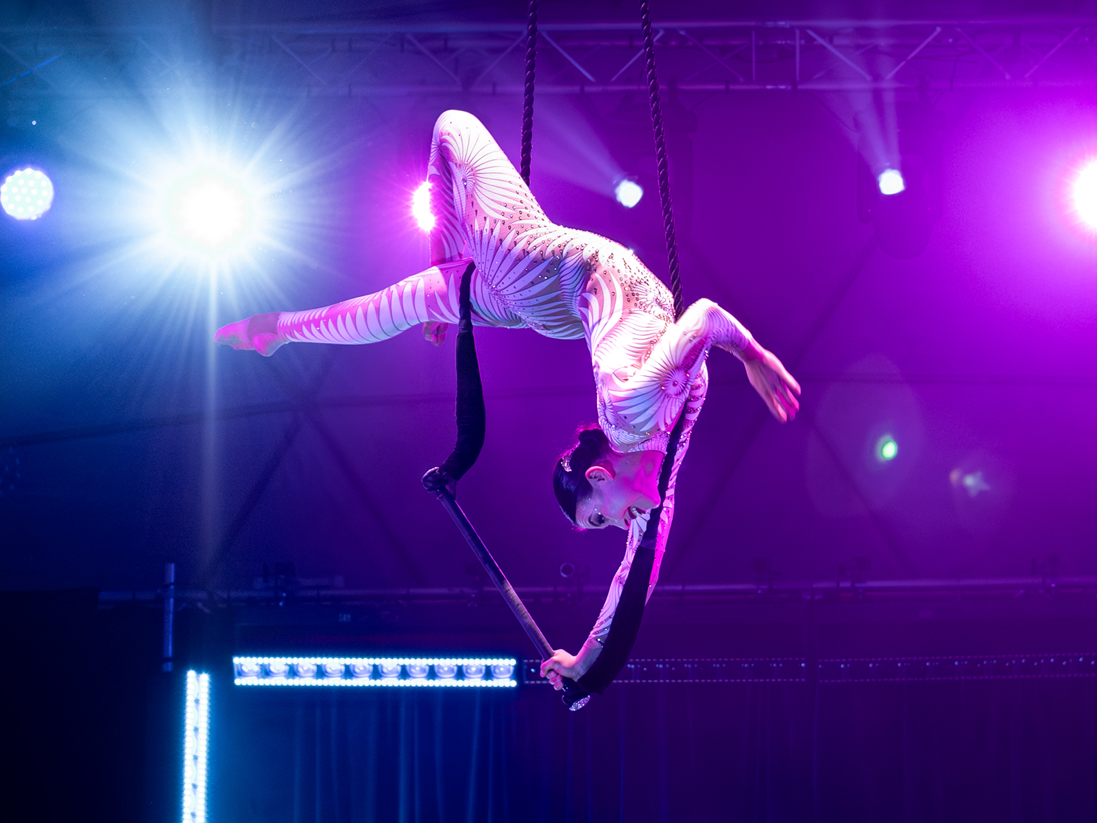 All Star Circus: What to expect - 2