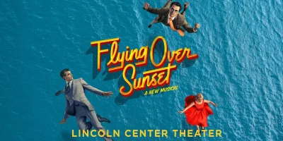 Flying Over Sunset