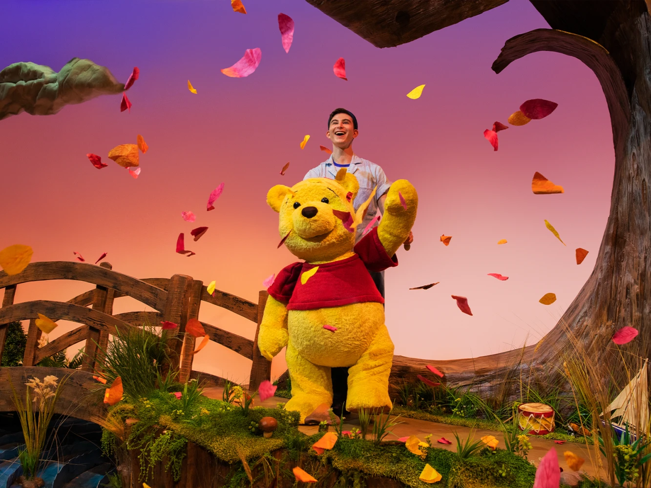 Winnie The Pooh - The Musical: What to expect - 2