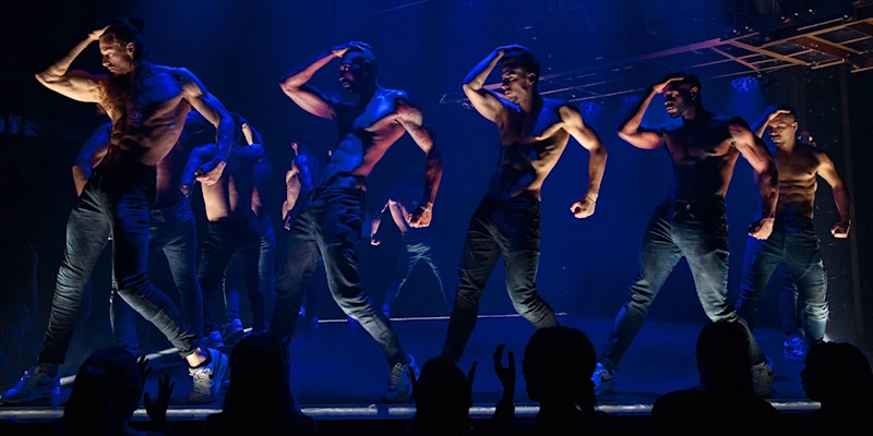 Magic Mike Live