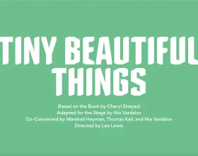 TINY BEAUTIFUL THINGS: What to expect - 1