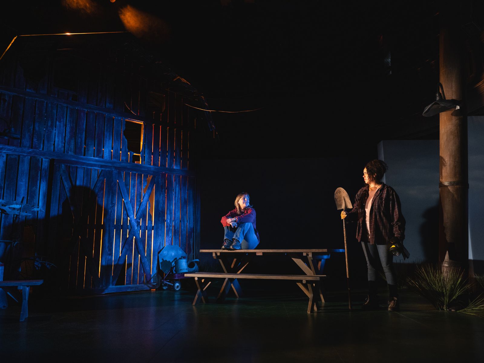 Stargazers: What to expect - 4