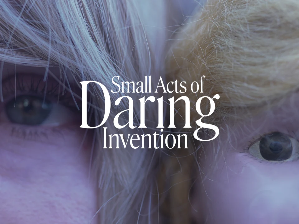 Small Acts of Daring Invention: What to expect - 1