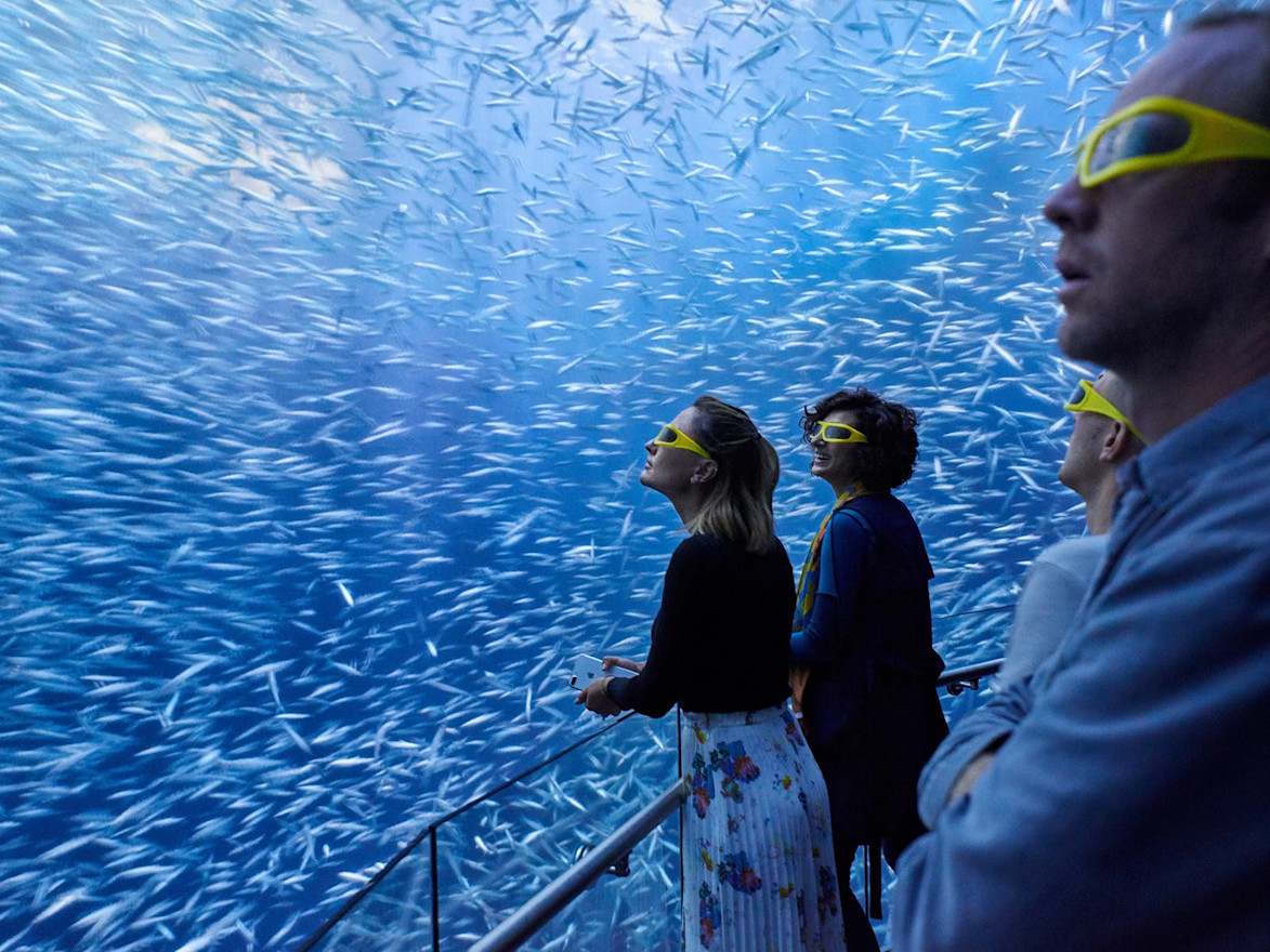 National geographic encounter ocean odyssey coupon