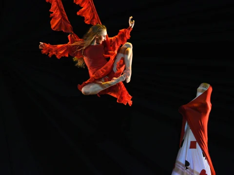 Momix Alice: What to expect - 2