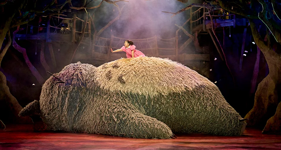 Banner image for My Neighbour Totoro