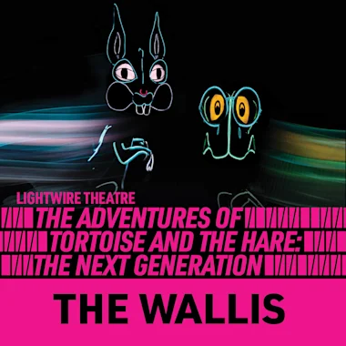 The Adventures Of Tortoise And Hare: The Next Generation