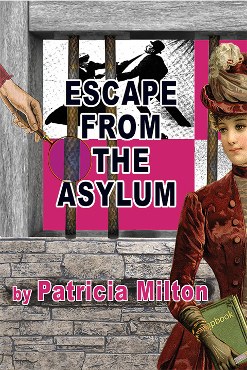 Escape from the Asylum: A Madcap Mystery in Washington, DC