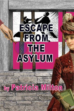 Escape from the Asylum: A Madcap Mystery