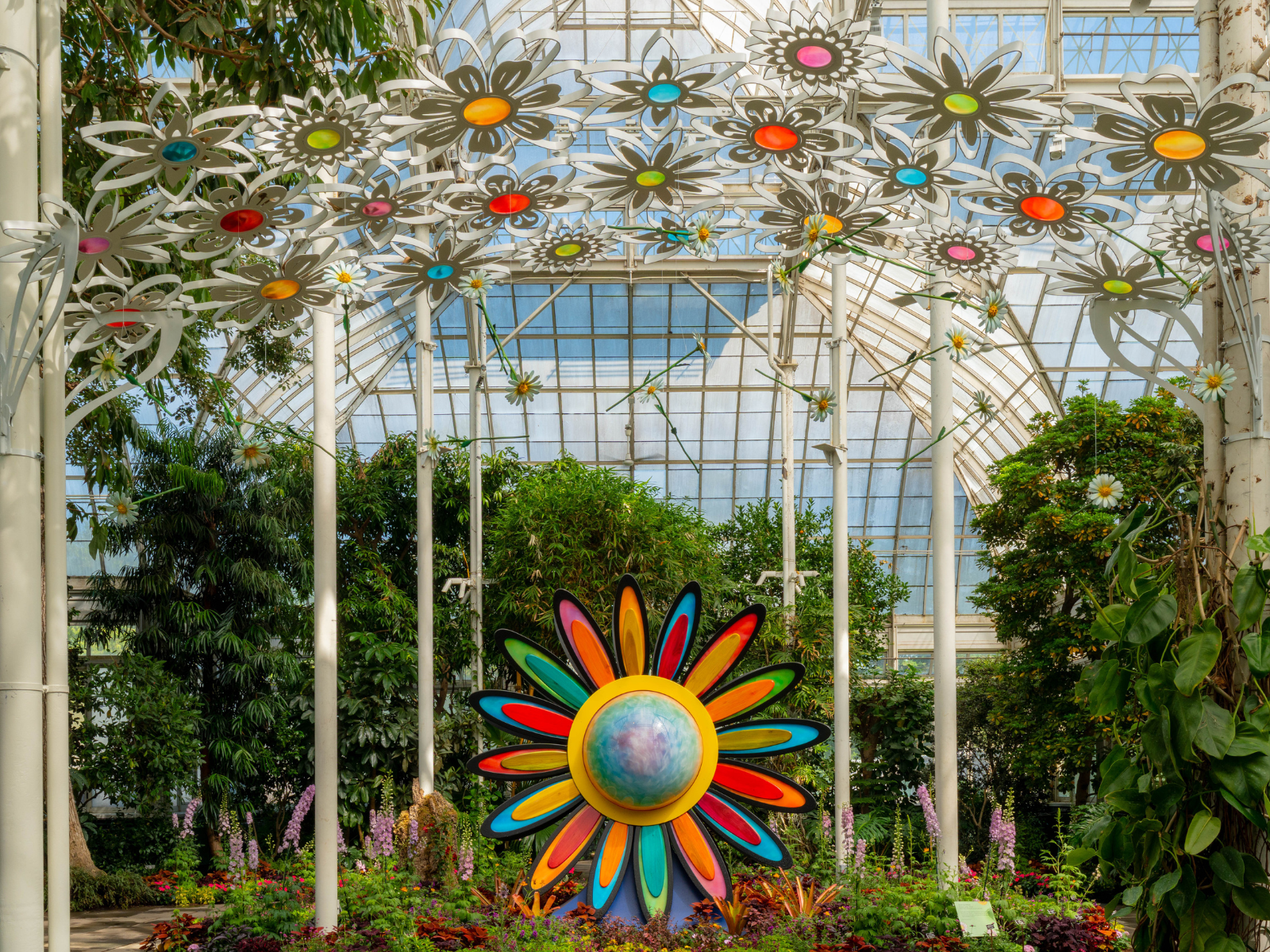 Flower Power: What to expect - 5