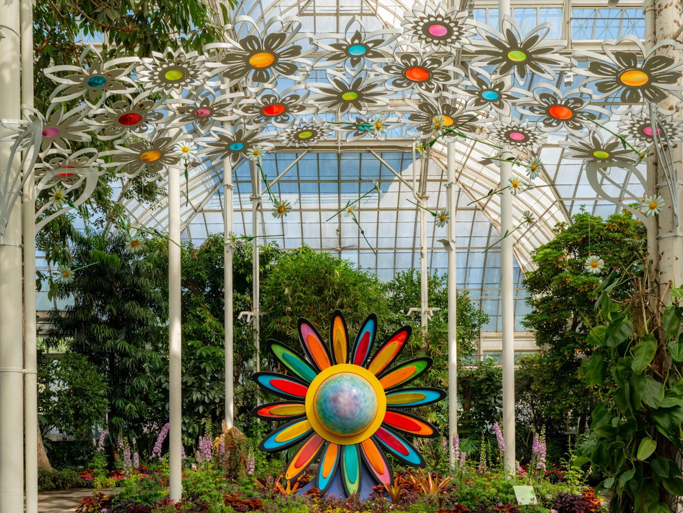 Flower Power: What to expect - 5
