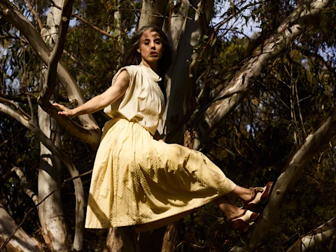 Eucalyptus: What to expect - 2
