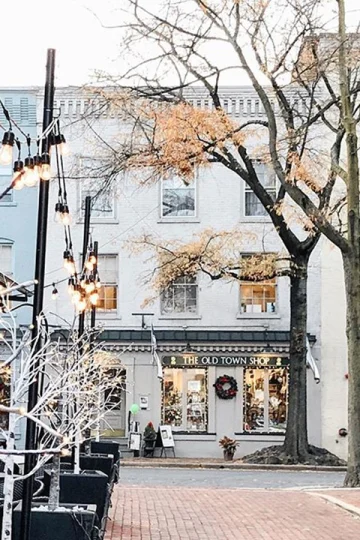 Old Town Alexandria and Mount Vernon Tour Tickets