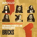 Bricks