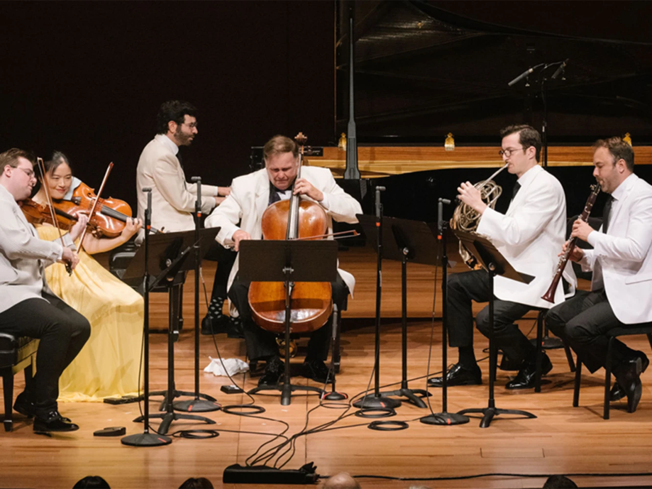 The Chamber Music Society of Lincoln Center: Summer Evenings I: What to expect - 6