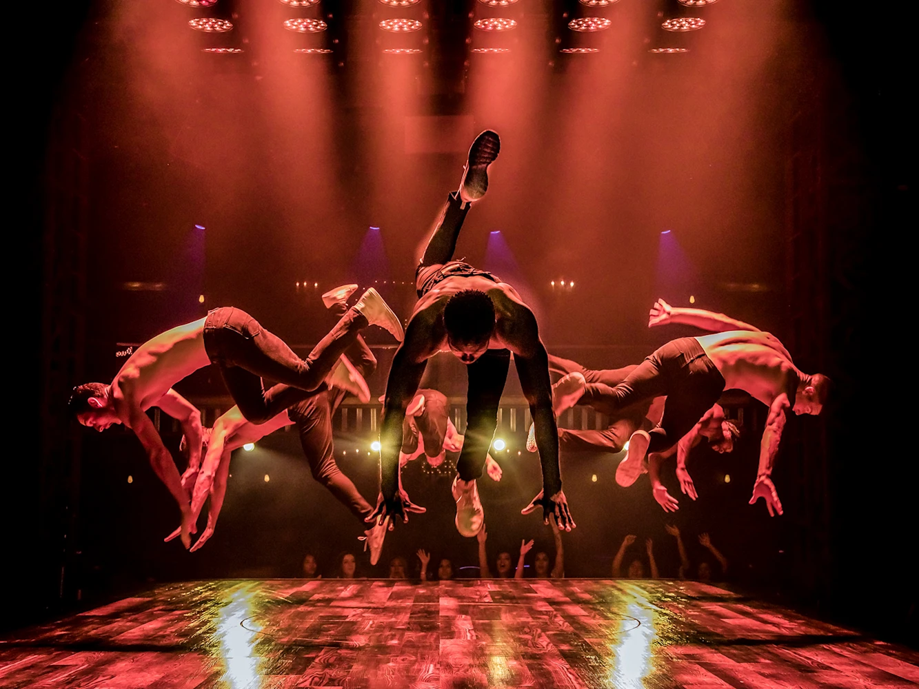 MAGIC MIKE LIVE New York City: What to expect - 1