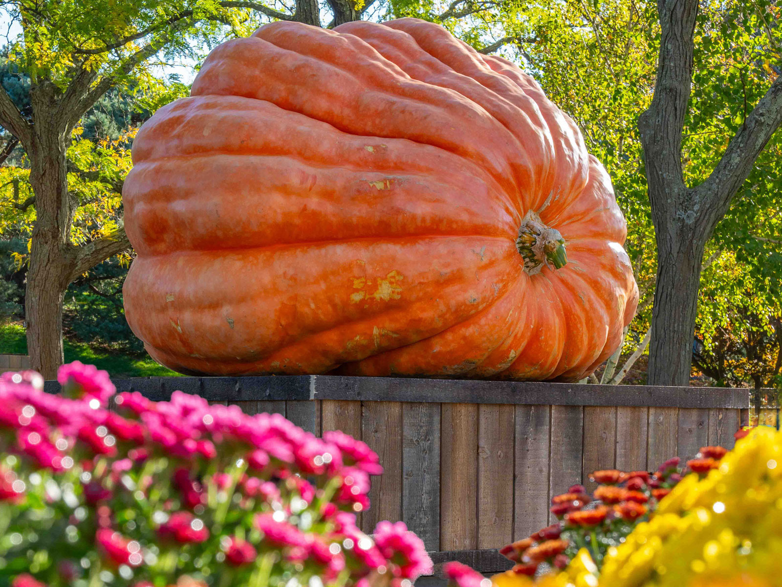 Autumn on Tap: What to expect - 1