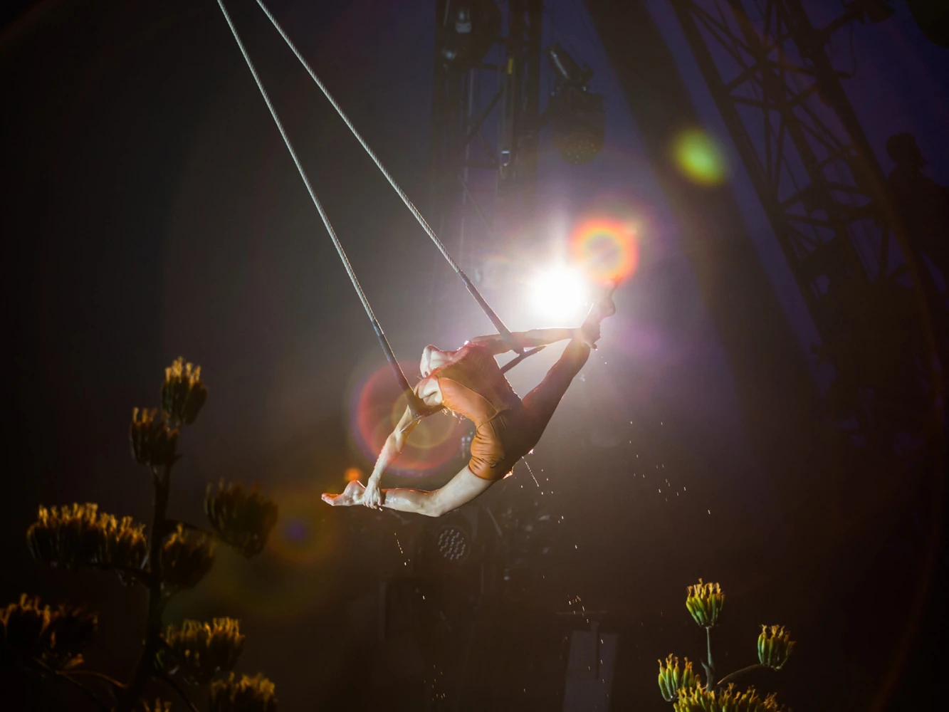 Luzia: What to expect - 3