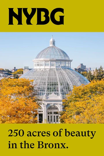 Autumn on Tap Tickets