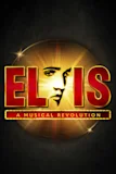 Elvis: A Musical Revolution