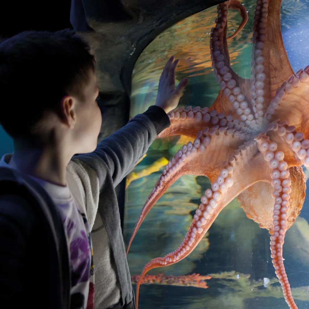 New Jersey SEA LIFE Aquarium: What to expect - 1