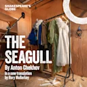 The Seagull - Globe