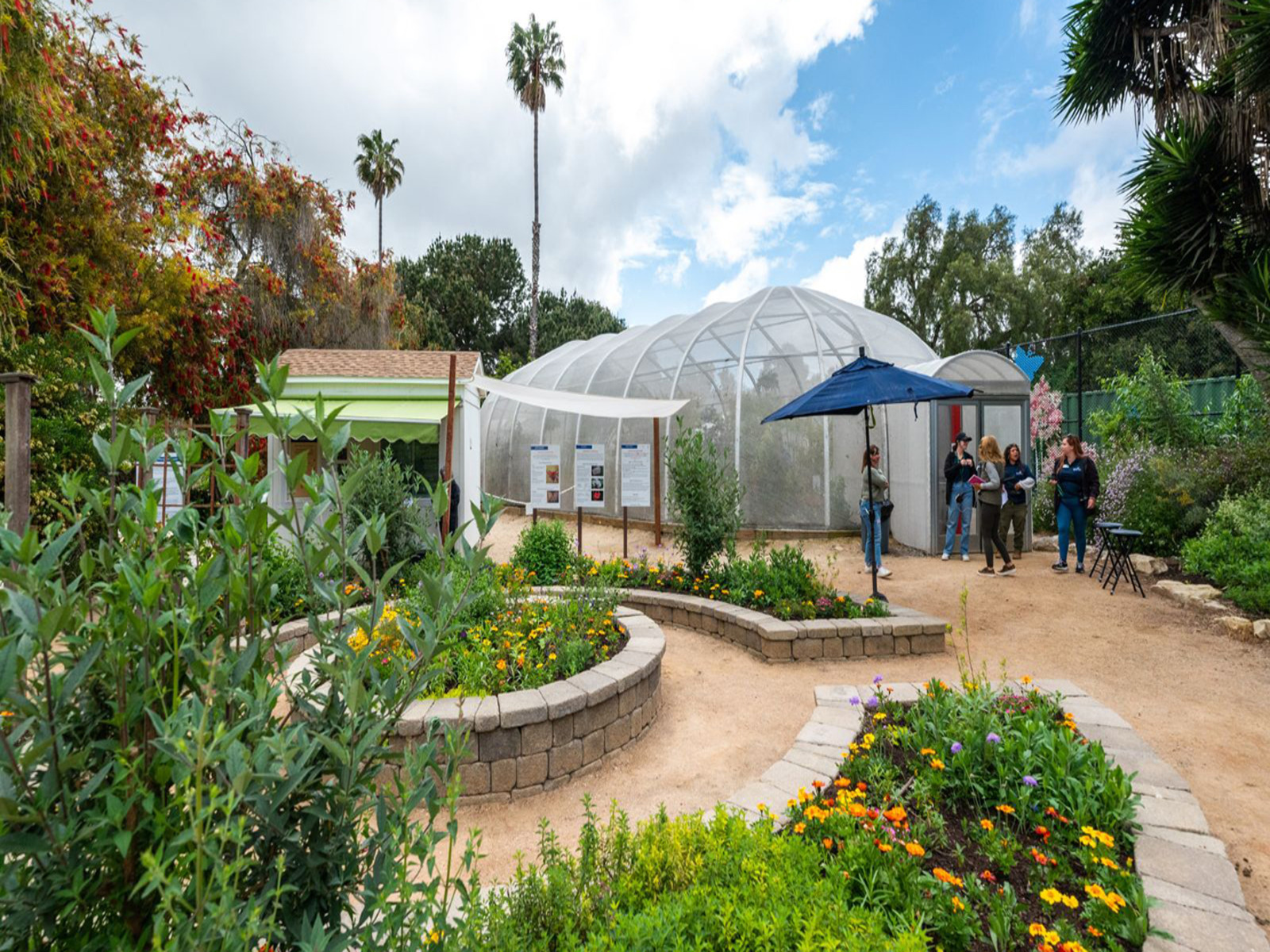 SOAR - Tropical Butterflies: What to expect - 3