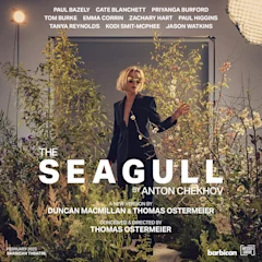 The Seagull