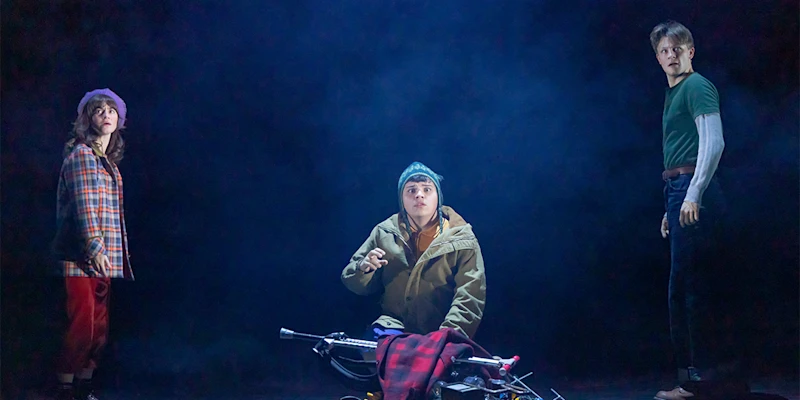 Many of the adult characters went to Hawkins High together.