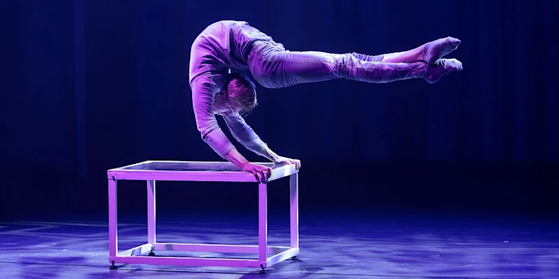 Big Apple Circus