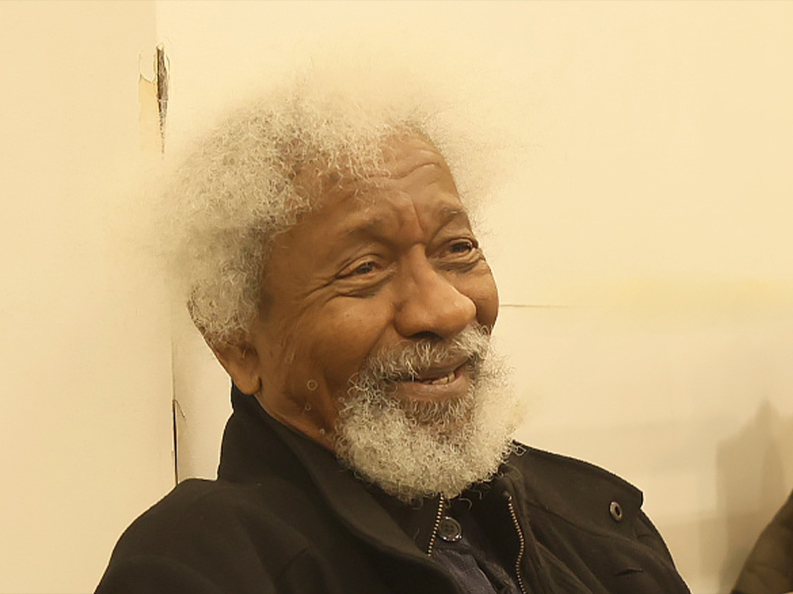 The Swamp Dwellers: What to expect - 3