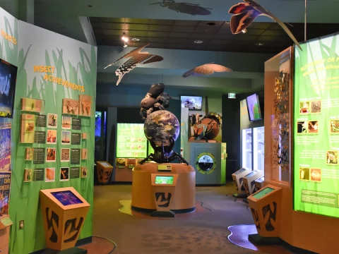 Houston Museum of Natural Science: Exhibit Hall & Planetarium Show: What to expect - 2