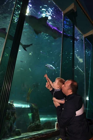 SEA LIFE Blackpool Standard Entry tickets