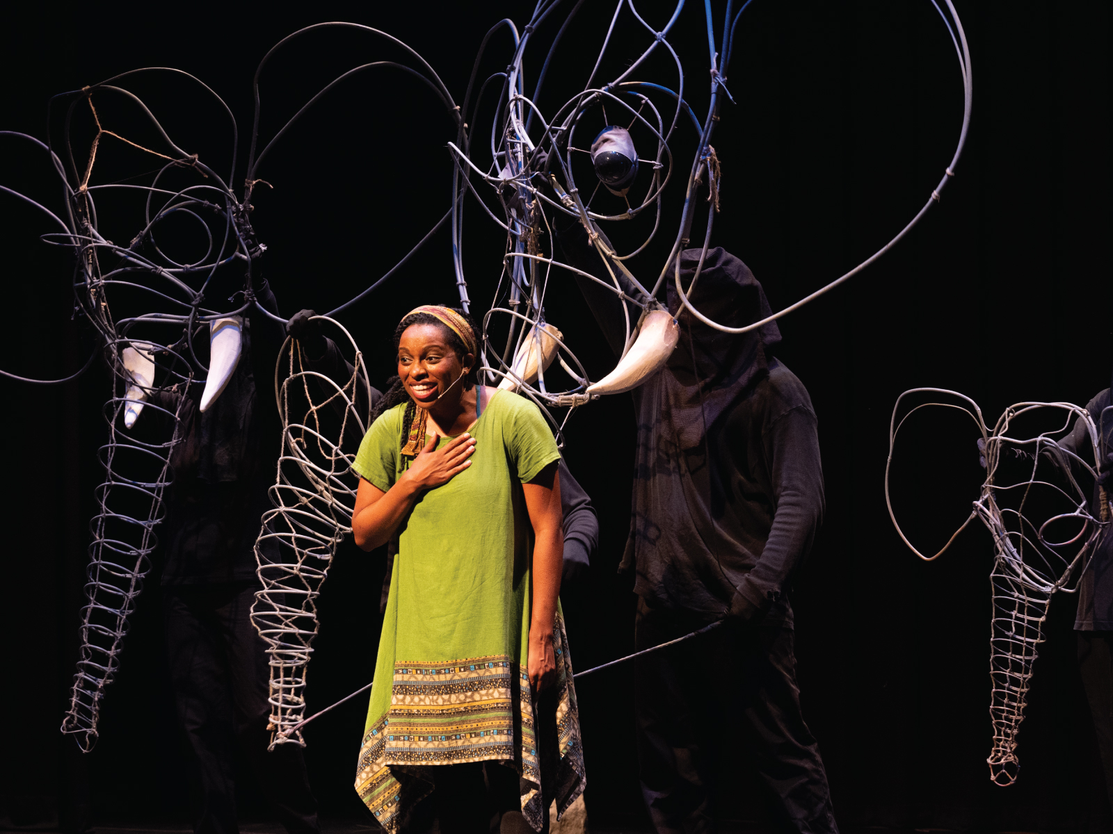 Aanika's Elephants: What to expect - 1