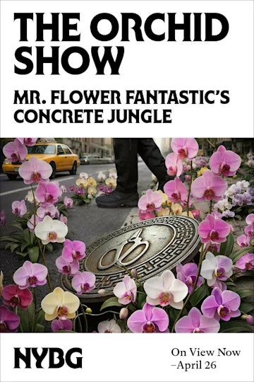 The Orchid Show: Mr. Flower Fantastic's Concrete Jungle tickets