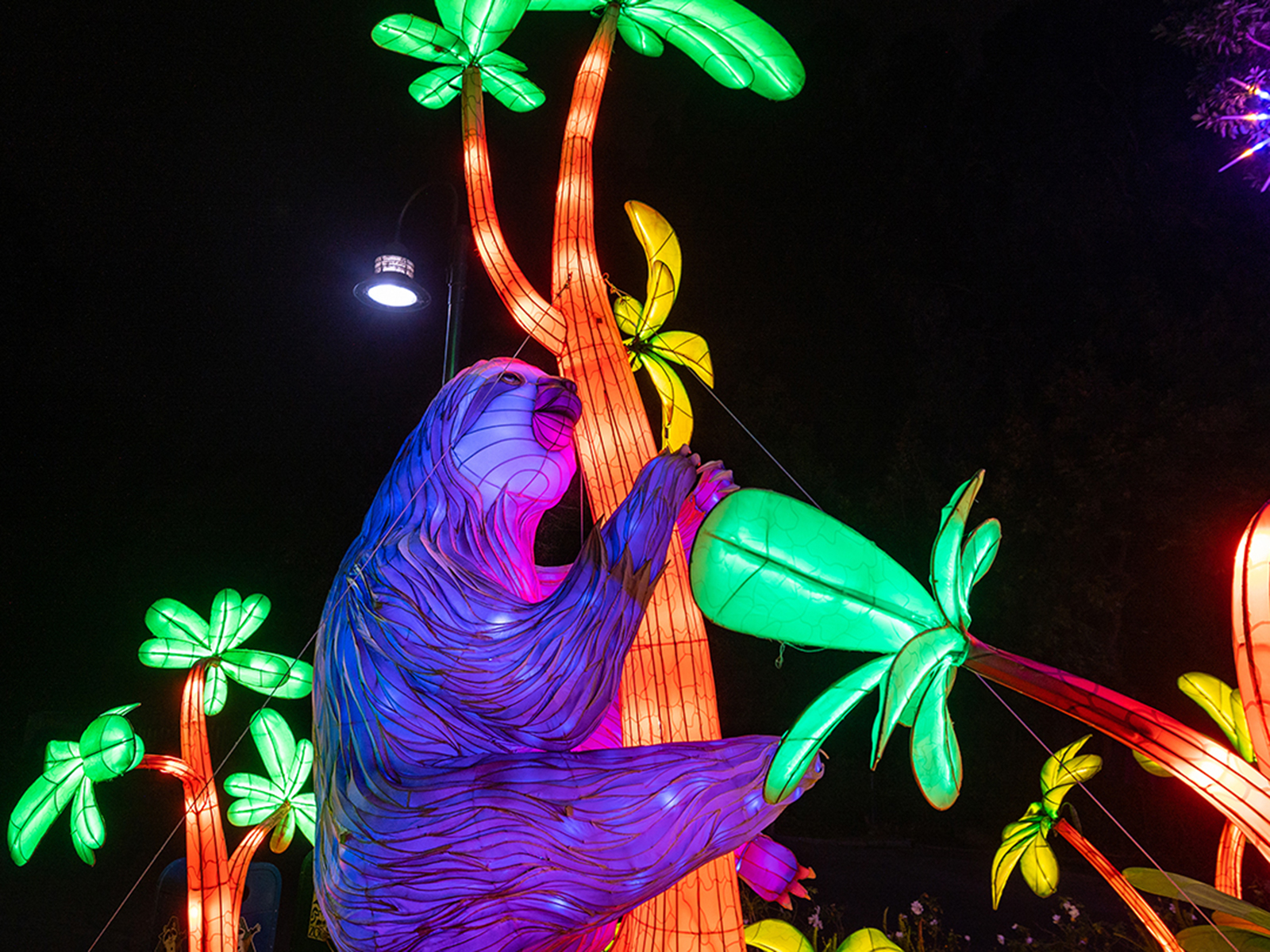 L.A. Zoo Lights: Animals Aglow: What to expect - 5