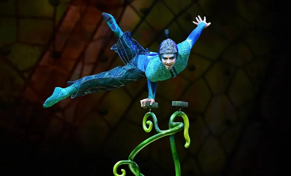 Cirque du Soleil OVO - LA + OC: What to expect - 2