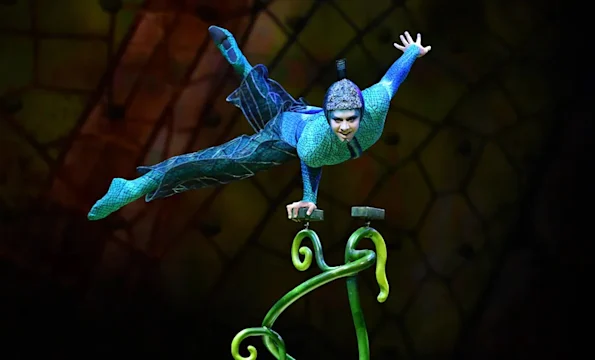 Cirque du Soleil OVO - LA + OC: What to expect - 2