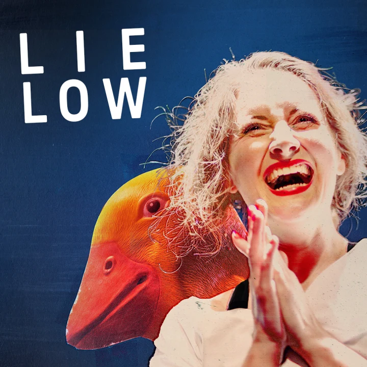 Lie Low: What to expect - 1