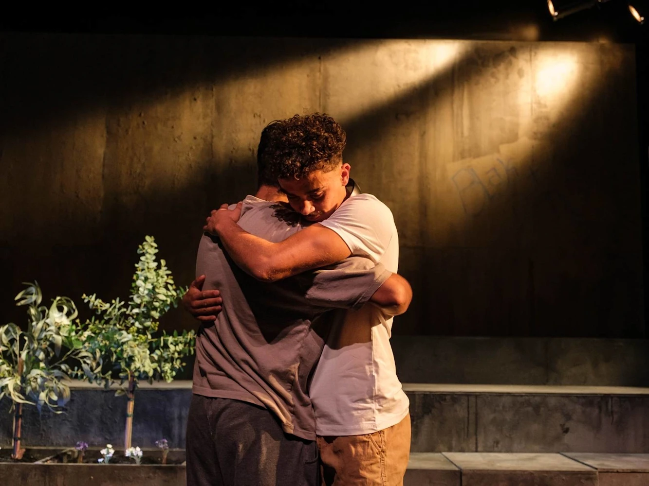 Saplings : What to expect - 2