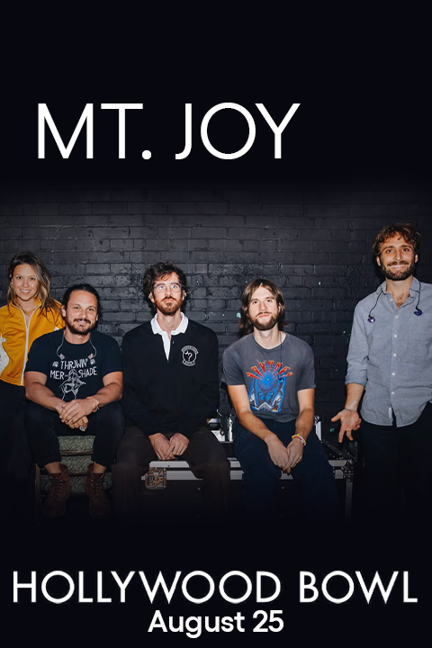 Mt. Joy show poster