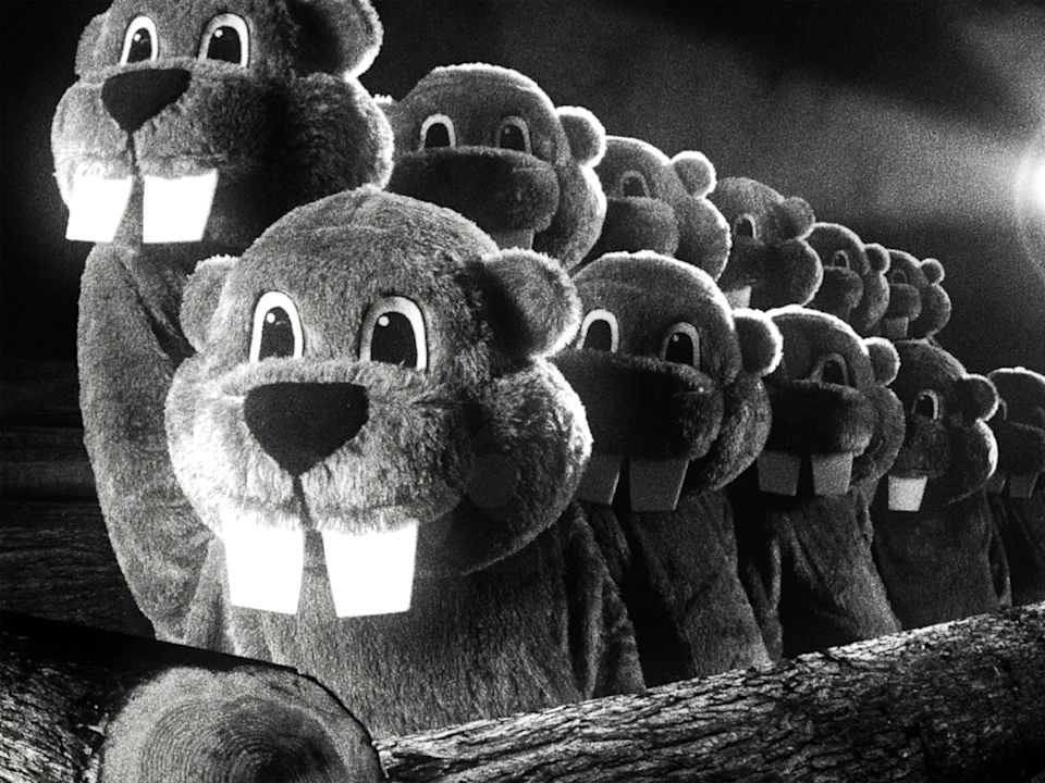 Hundreds of Beavers: What to expect - 1