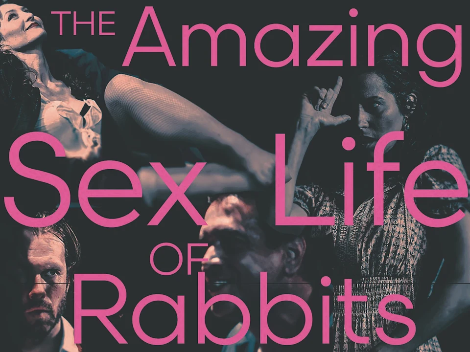The Amazing Sex Life of Rabbits: What to expect - 1