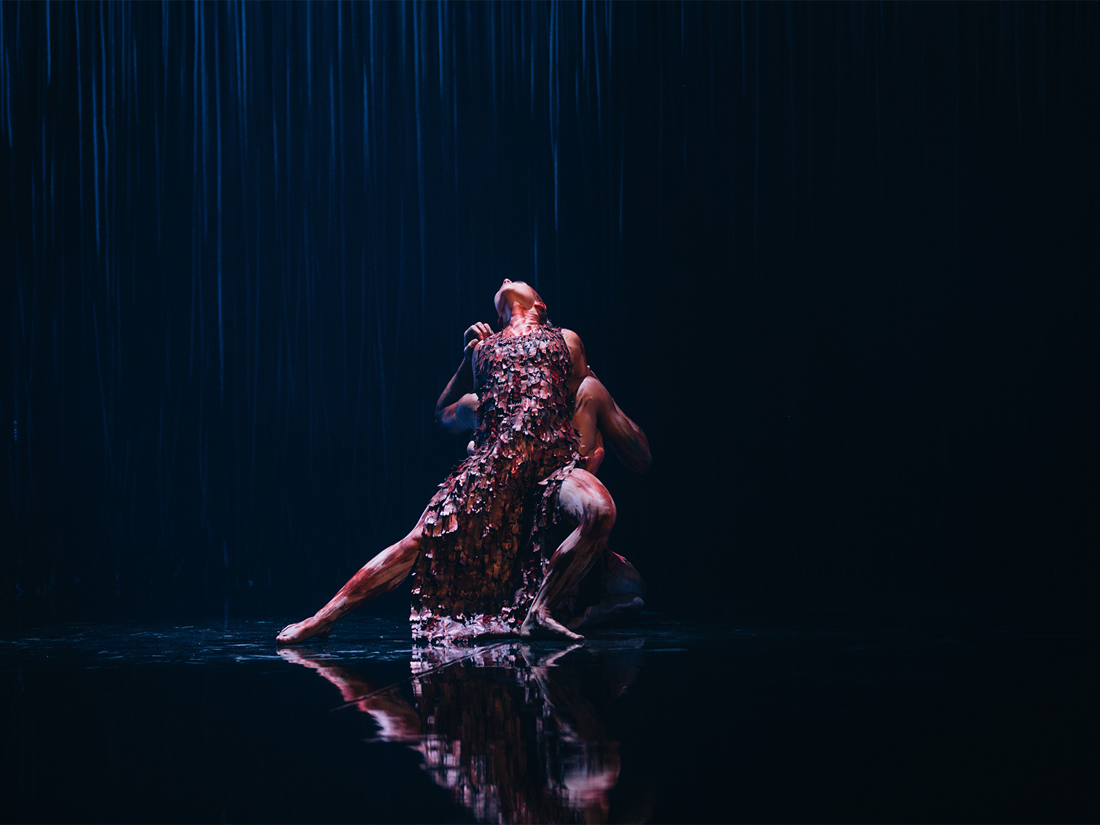 Yuldea presented by Bangarra Dance Theatre: What to expect - 4