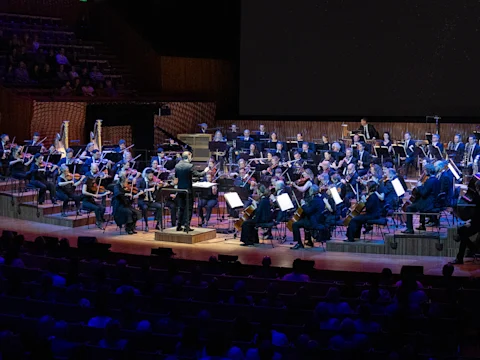 Harry Potter and the Philosopher's Stone In Concert: What to expect - 2
