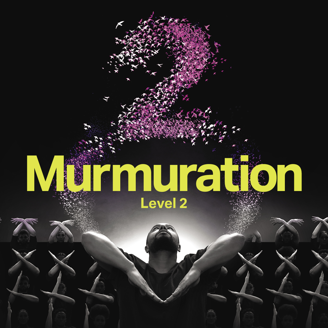Murmuration Level 2