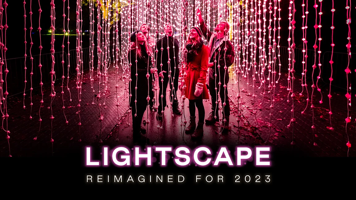 Lightscape: What to expect - 1